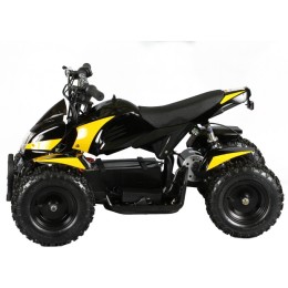 Электроквадроцикл XW-EA14 УЦЕНКА АКБ