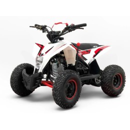 Комплект квадроцикла GEKKON 90 всесезонный (колеса,гусеница,лыжи)