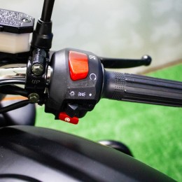 Мопед С.МОТО NORDWING