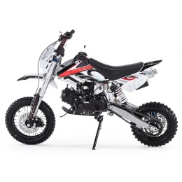 ПИТ-БАЙК BSE EVO 110е Evolution A 12/10 (Автоматическая КПП)