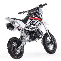 ПИТ-БАЙК BSE EVO 110е Evolution A 12/10 (Автоматическая КПП)