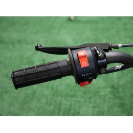 ПИТБАЙК С.МОТО KXD 608 Люкс 125 сс 