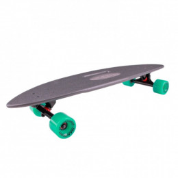 Скейтборд Fishboard TLS-409