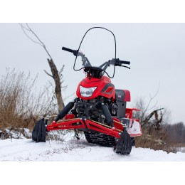 Снегоход DINGO T150 4Т 